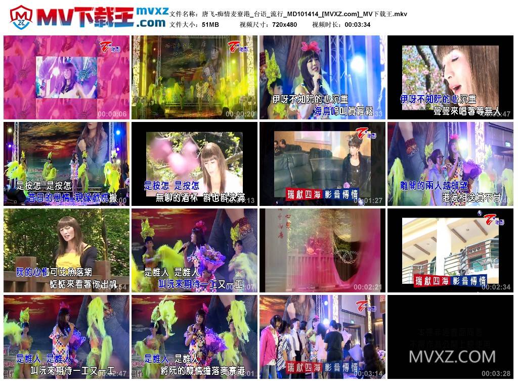 唐飞-痴情麦寮港_台语_流行_MD101414